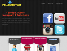 Follower Twit — International E-Cybertech Client