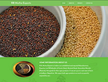 R.B. Mutha Exports — E-Cybertech Client Project